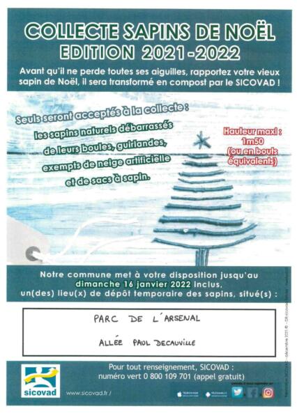 COLLECTE DE SAPINS