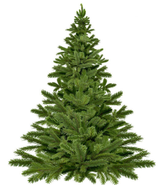 COLLECTE DES SAPINS DE NOËL