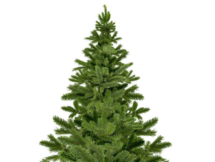 COLLECTE DES SAPINS DE NOËL