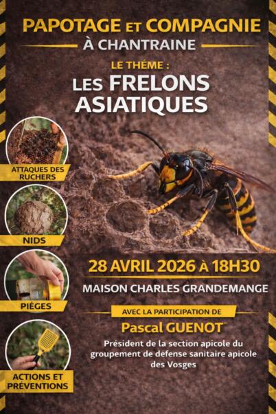 FRELONS ASIATIQUES