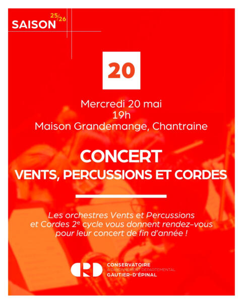 CONCERT VENTS PERCUSSIONS ET CORDES