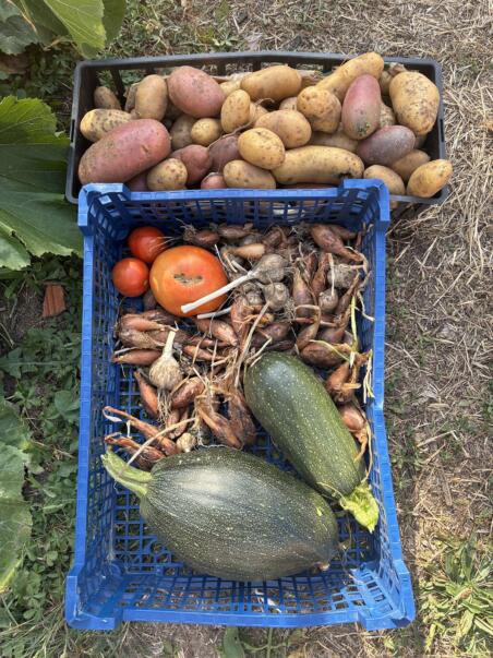JARDIN DU PARTAGE