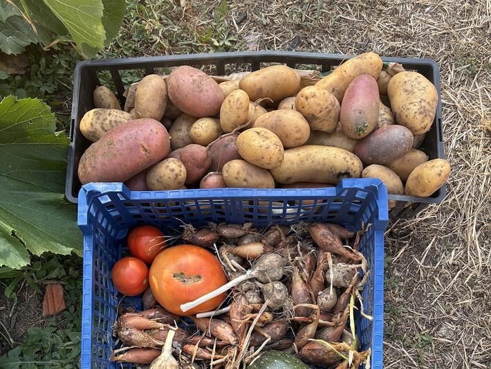 JARDIN DU PARTAGE